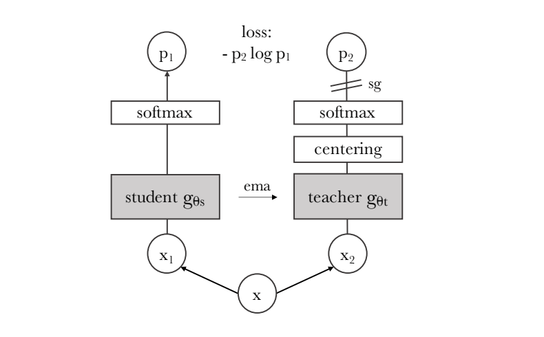 DINO framework