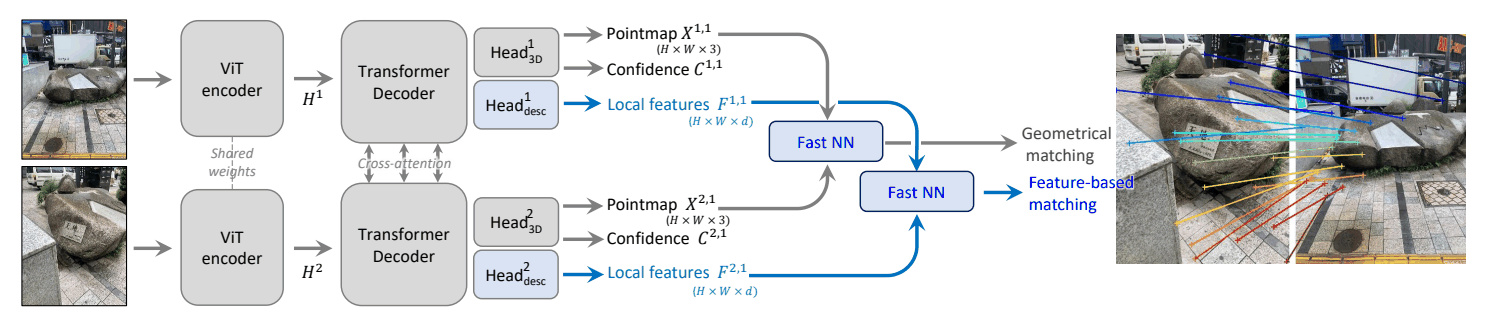 두 이미지가 공유 ViT encoder와 cross-attention decoder를 거쳐 pointmap·confidence에 더해 local feature map을 출력하고, fast NN 매처로 기하 매칭과 특징 매칭을 모두 수행하는 구조(DUSt3R 대비 추가된 부분이 파란색)